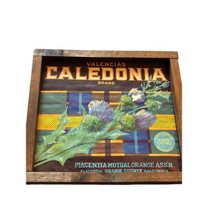 Vintage Caledonia Brand Orange Crate Label Framed Placentia California Thistle